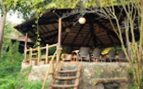 Brahmaputra Jungle Resort