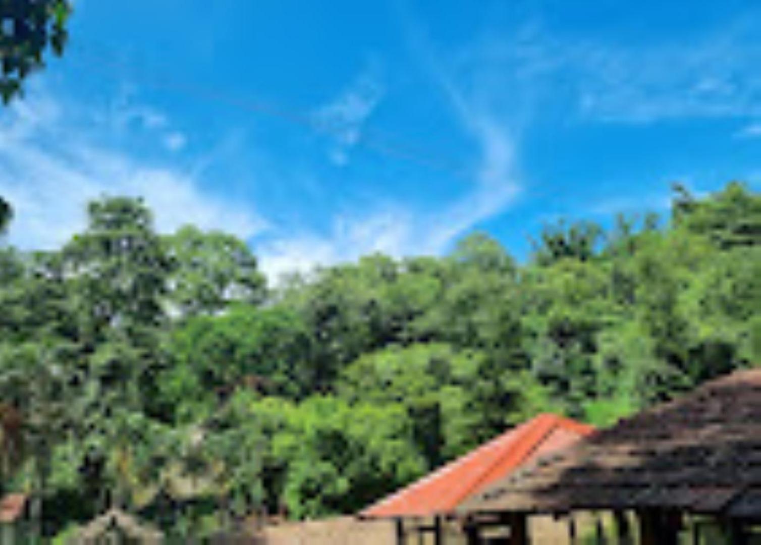 Brahmaputra Jungle Resort Гувахати Экстерьер фото