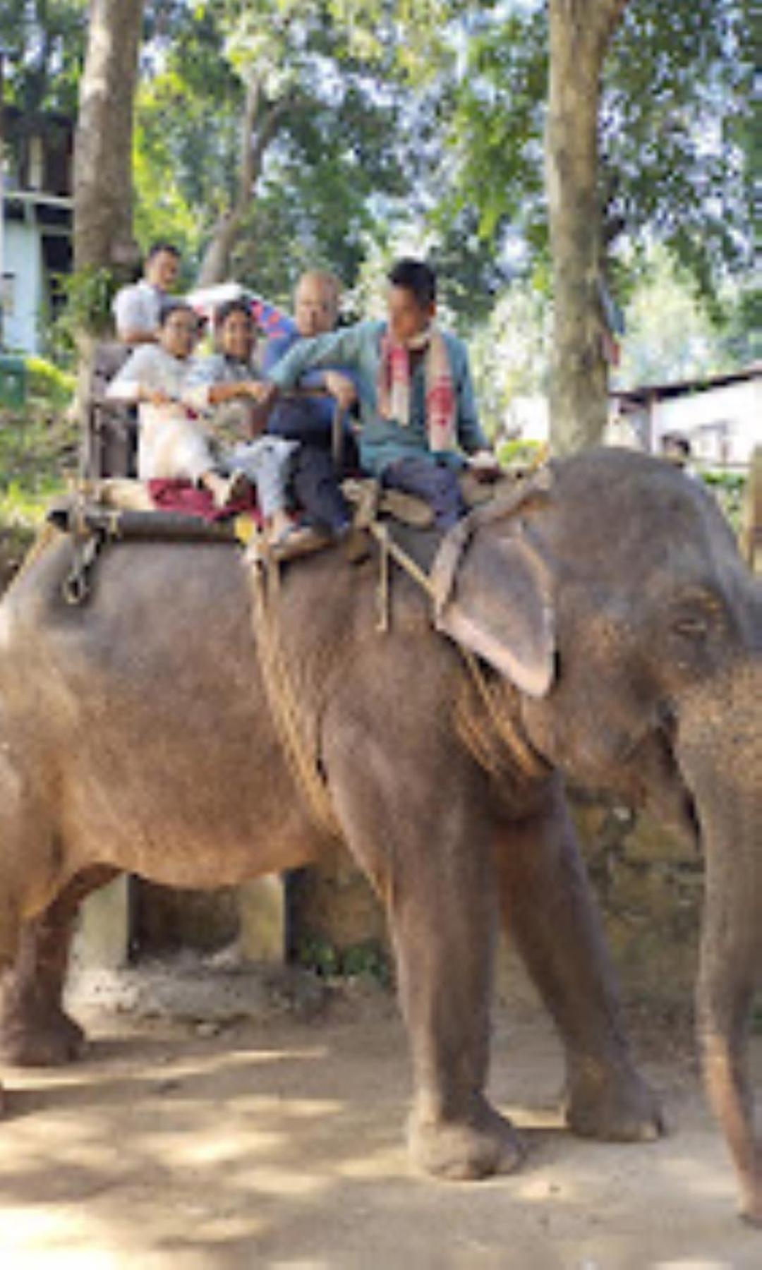 Brahmaputra Jungle Resort Гувахати Экстерьер фото