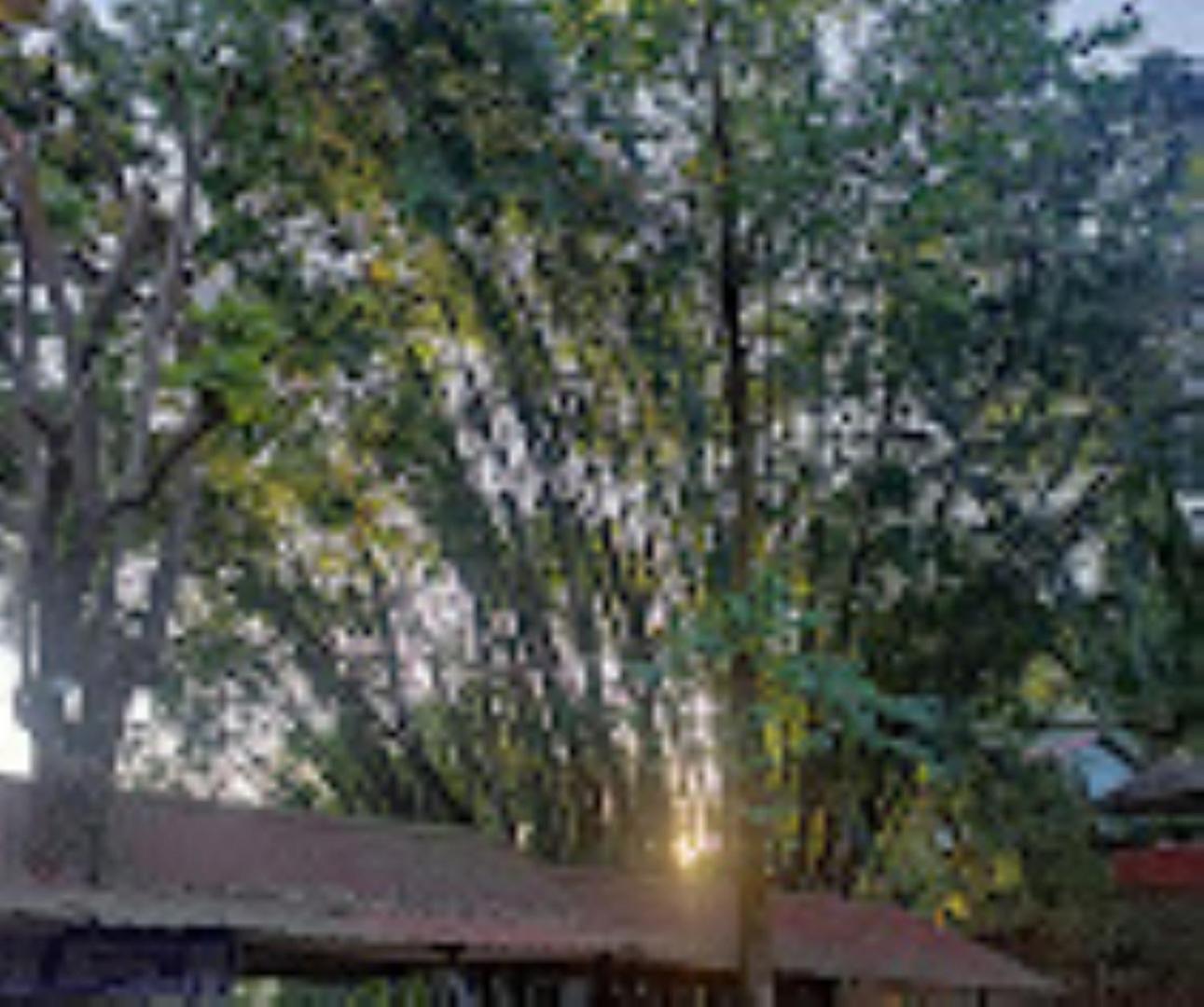 Brahmaputra Jungle Resort Гувахати Экстерьер фото