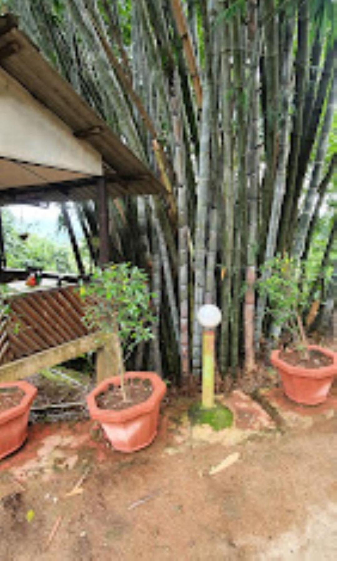 Brahmaputra Jungle Resort Гувахати Экстерьер фото