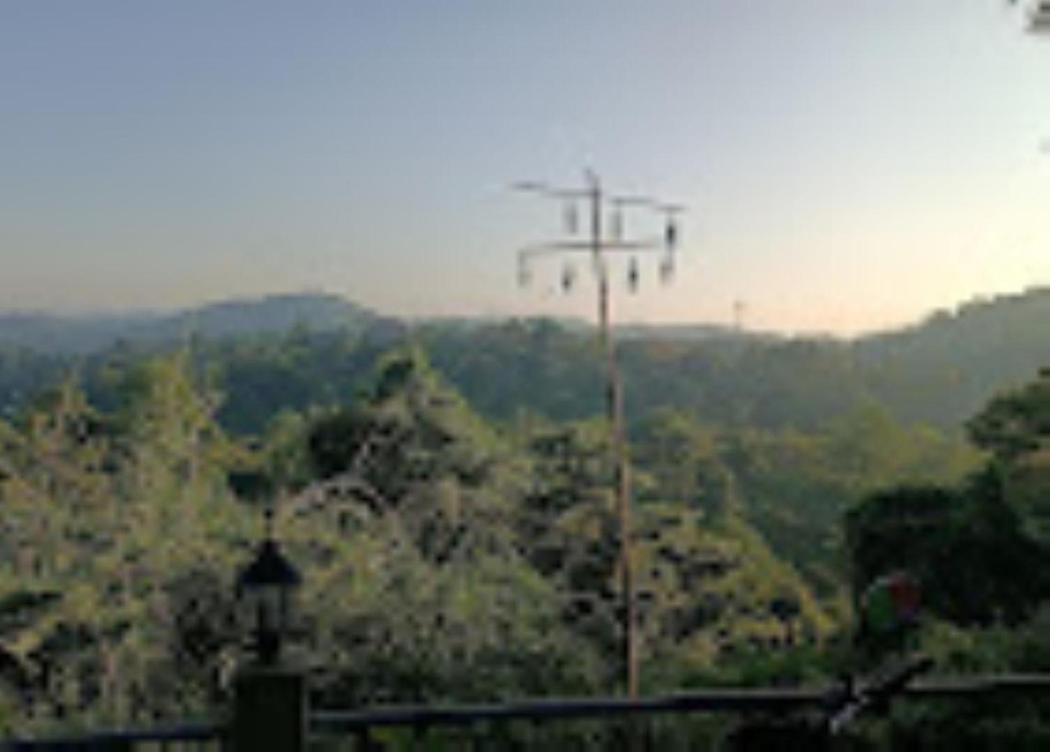 Brahmaputra Jungle Resort Гувахати Экстерьер фото